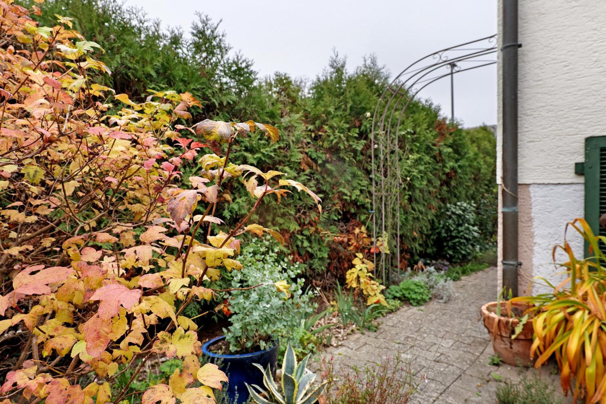 Sleep And Go Bed & Breakfast Mundelsheim Exterior photo